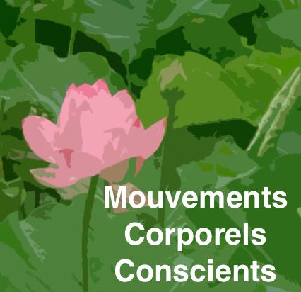 fleur original effet MLC